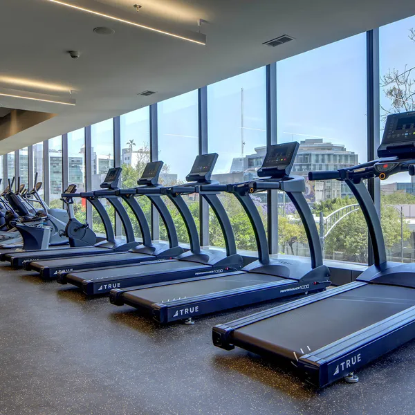 Gimnasio