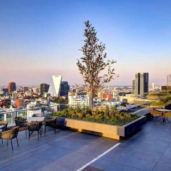 Sky Garden